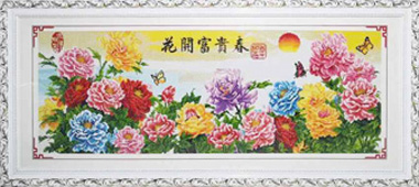 花开富贵春 C027白金